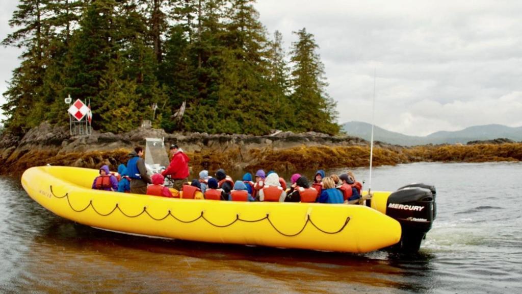 Kelli Creek - Reduced Price On Tours