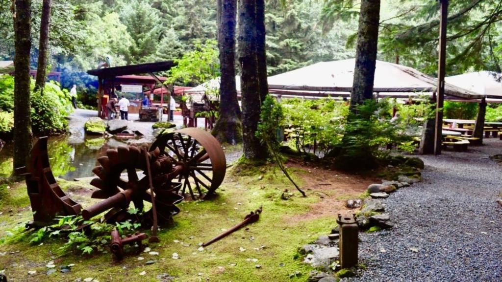 Kelli Creek - Reduced Price On Tours Juneau